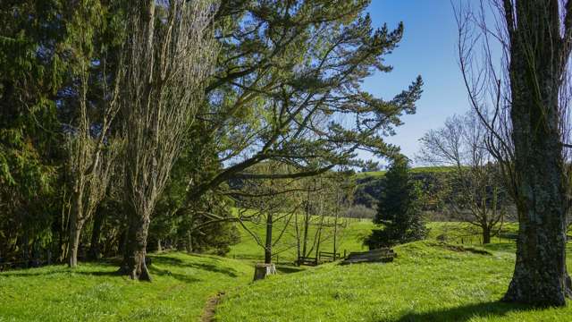 118 Pukewera Road Waihi_3