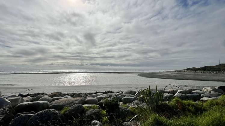 28 Greenfield Street Hector_29