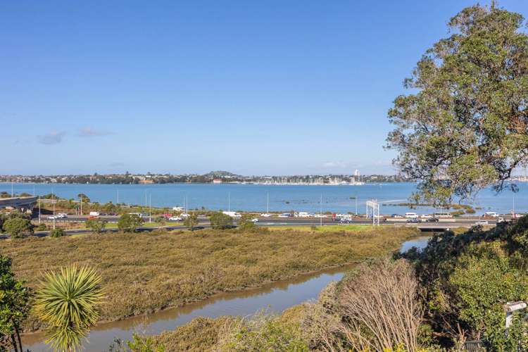 19 Waimana Avenue Northcote Point_25