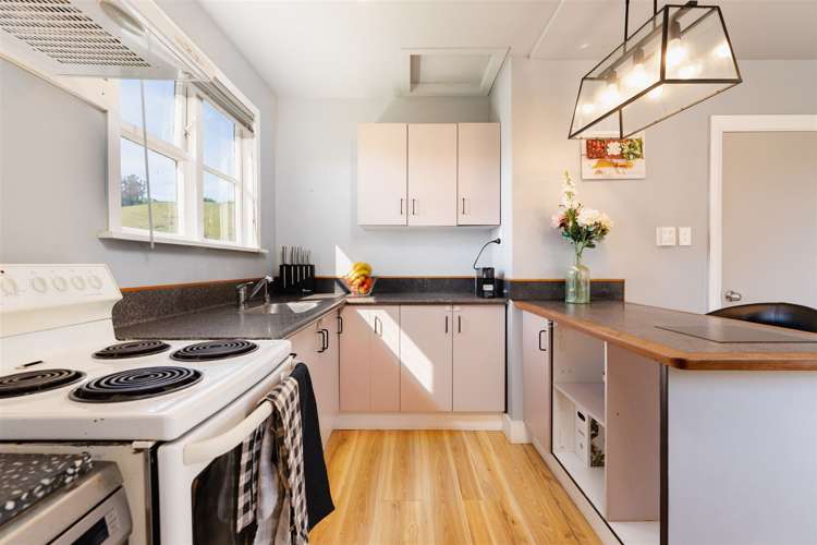 26 Edinburgh Street Green Island_3