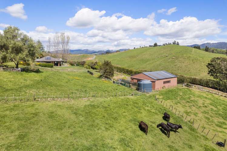 72 Busby Road Katikati_4