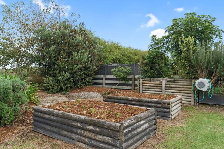 135 Mangawhai Heads Road Mangawhai Heads_20