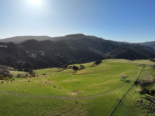 121 Silverstream Valley Road North Taieri_1