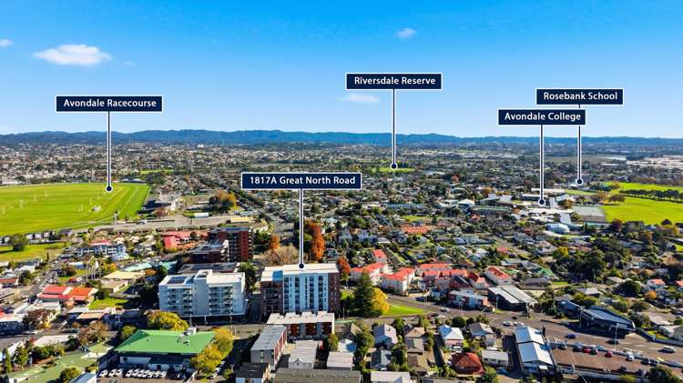 G03/1817A Great North Road Avondale_27
