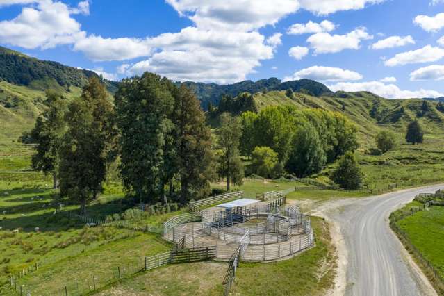 1221 Waitewhena Road Taumarunui_2