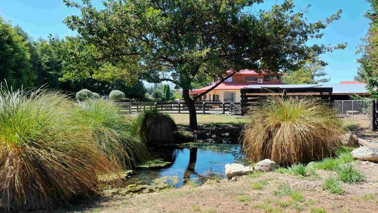 31 Fairlie Tekapo Road Fairlie_26