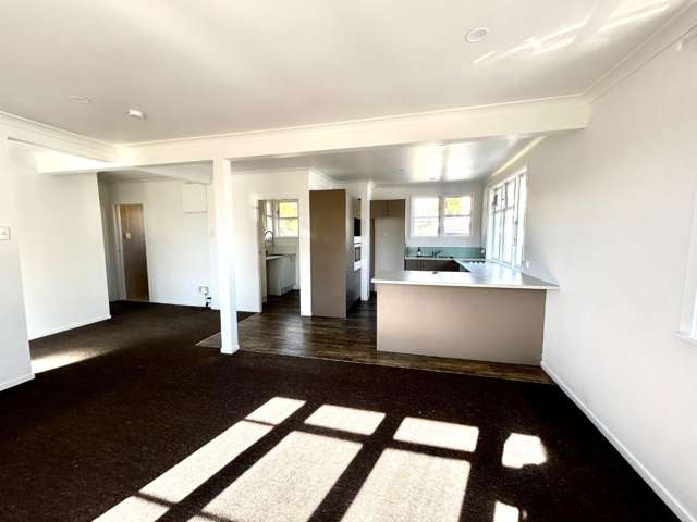 55 Miller Street 1070_1