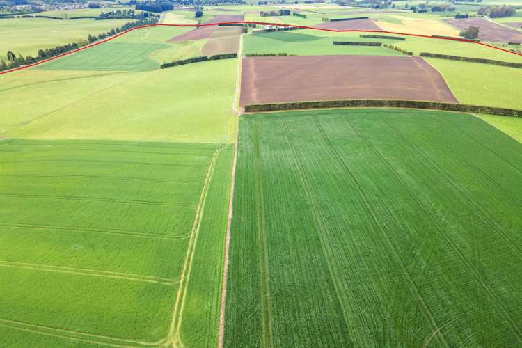 38 Doake Road Pleasant Point_10