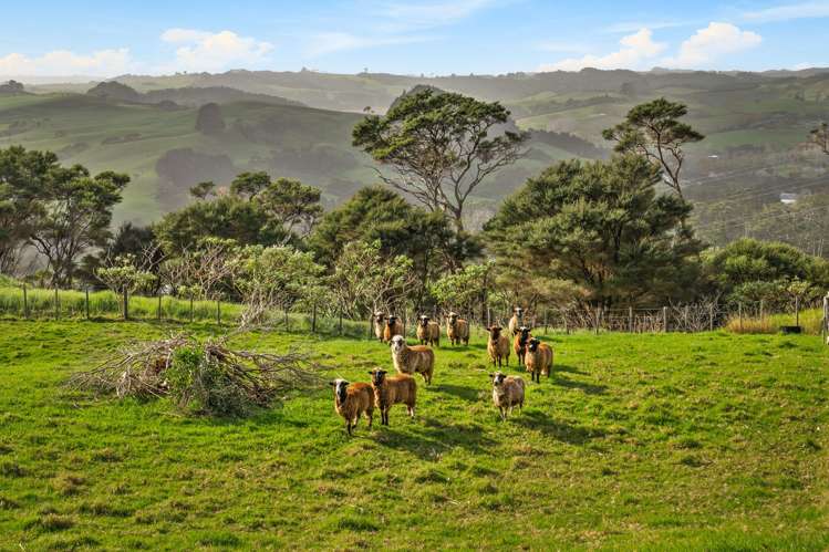 1382 Old North Road Helensville_23