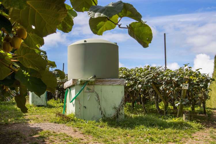 25 Crosby Lane Hauraki Surrounds_3