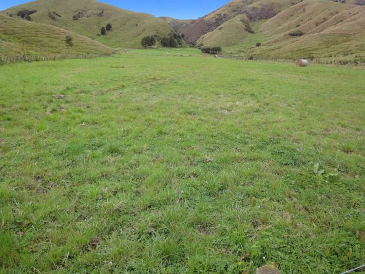 190 Harris Road Woodville_1