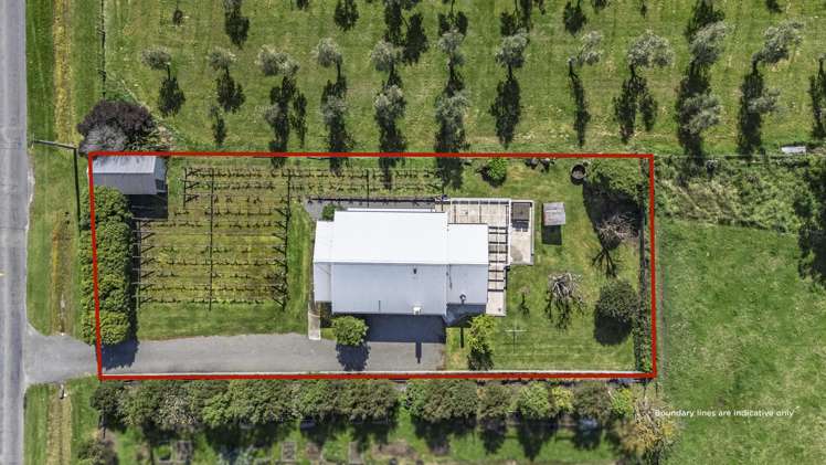 49 Oxford Street Martinborough_23