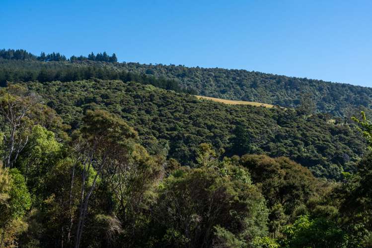 16 Rowland Street Osborne_22