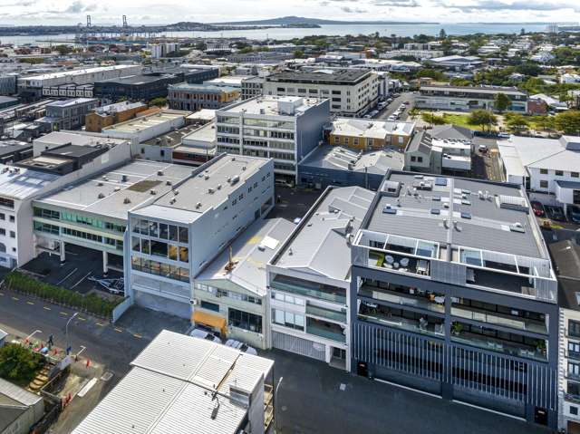 19 Falcon Street Parnell_4