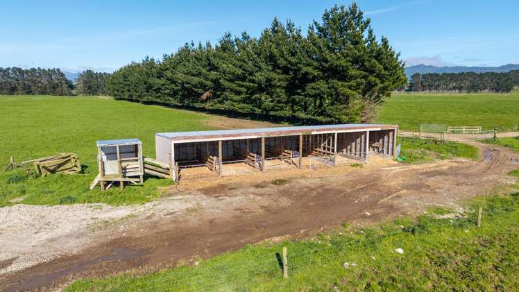 886 Kakariki Road Eketahuna_7