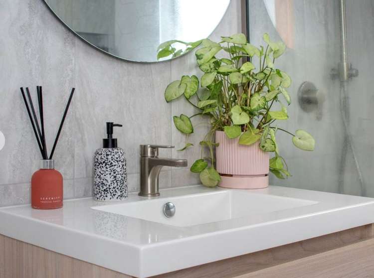 14 Maitland Street Greerton Tauranga Houses for Rent One Roof