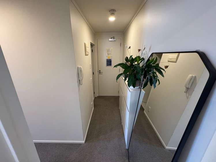 16 Burton Street Grafton_11