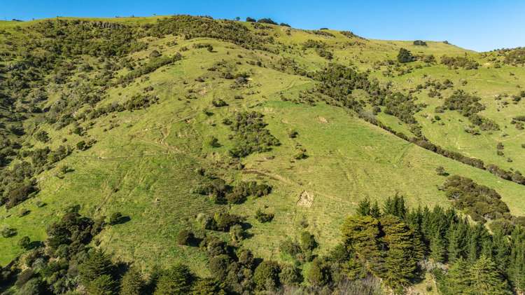 1234 Okains Bay Road Okains Bay_15