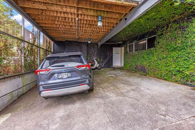 8 Crummer Road Grey Lynn_2