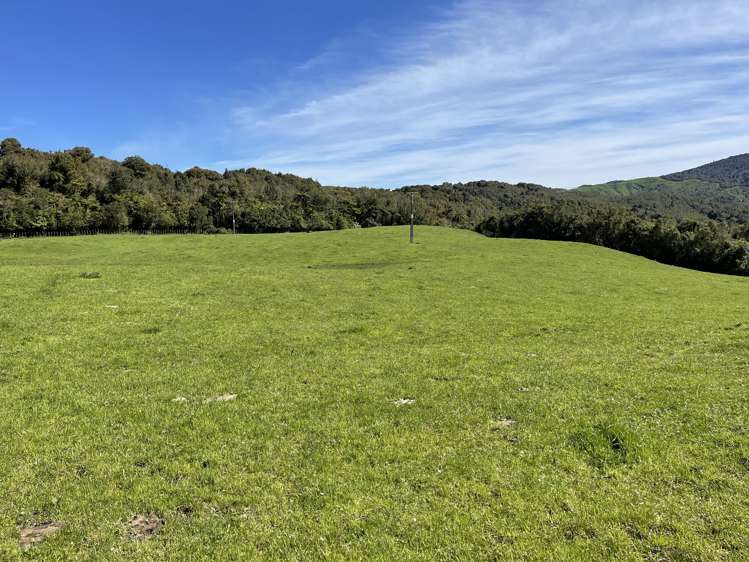 Pekanui Road Puketotara_13