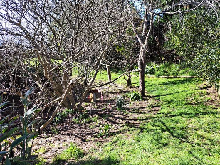 233 Hokio Sand Road Hokio Beach_17