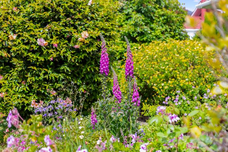 13 Zande Terrace Tawa_13