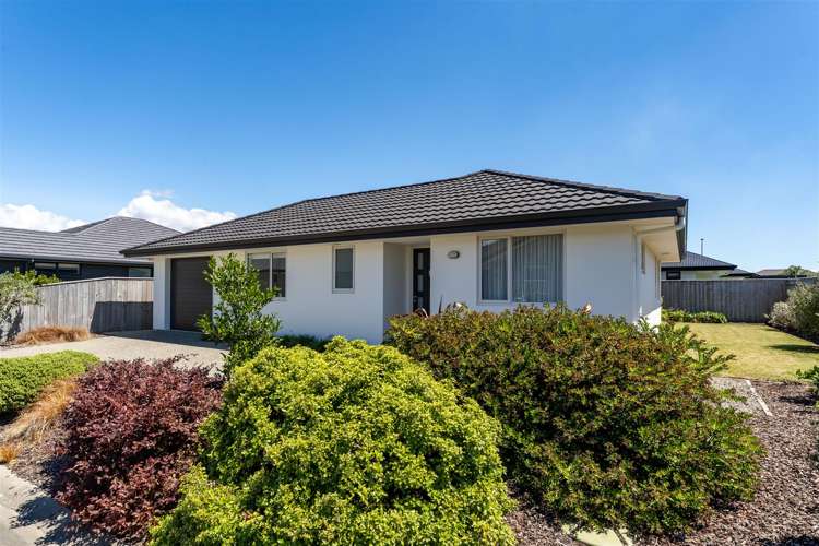 6 Camberley Road Richmond_5