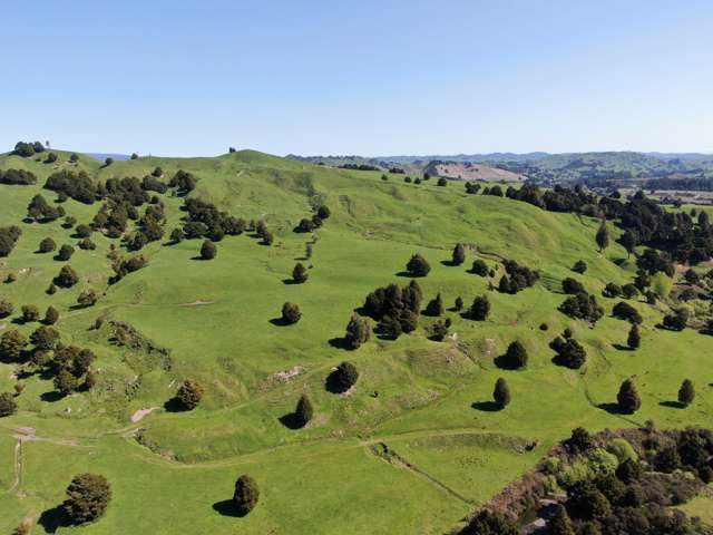 433 Pungapunga Valley Road Taumarunui_4