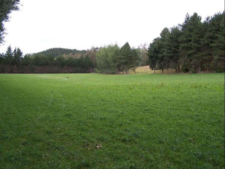 965 Georgetown-Pukeuri Road Peebles_15