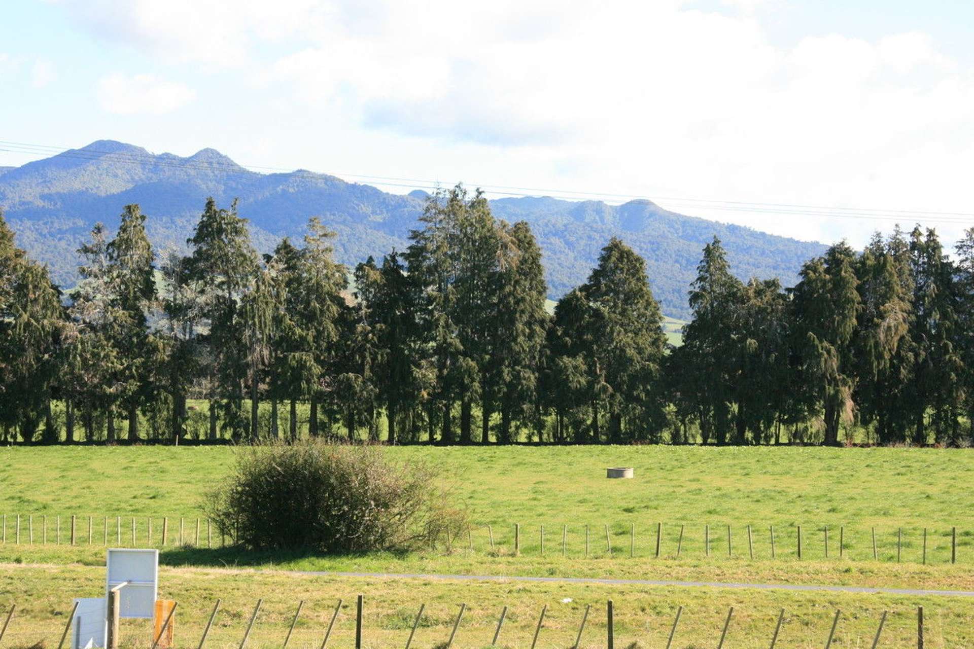 163 Bird Road Pirongia_0