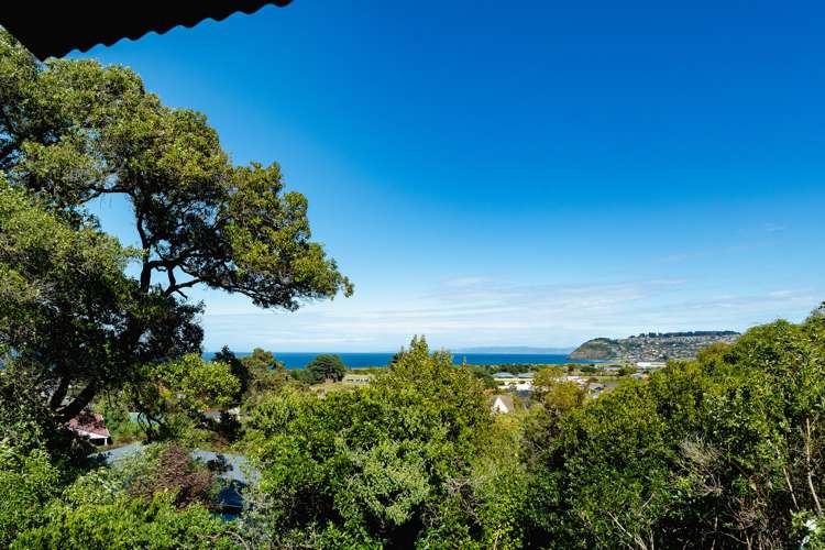 4c Minto Street Andersons Bay_17