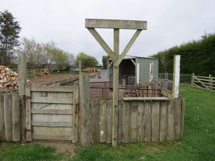 914 Woodlands Invercargill Highway Longbush_20