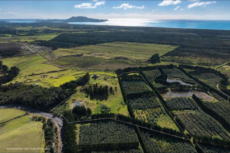 3146 Far North Road Pukenui_28