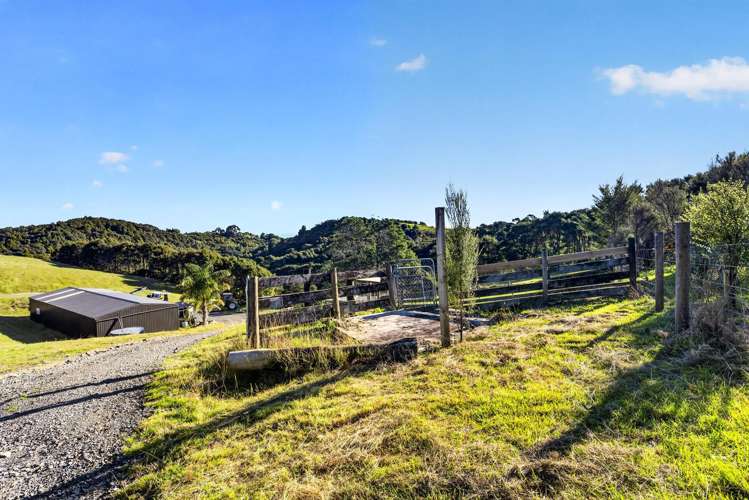 115 Sonja Drive Hunua_18