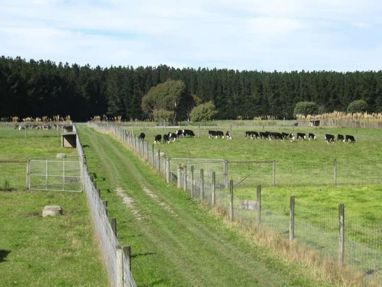 18 Sutherlands Road Pleasant Point_25