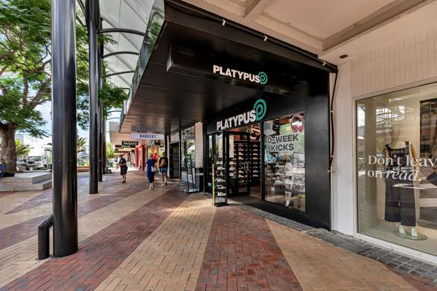 55 Cameron Street Whangarei_4