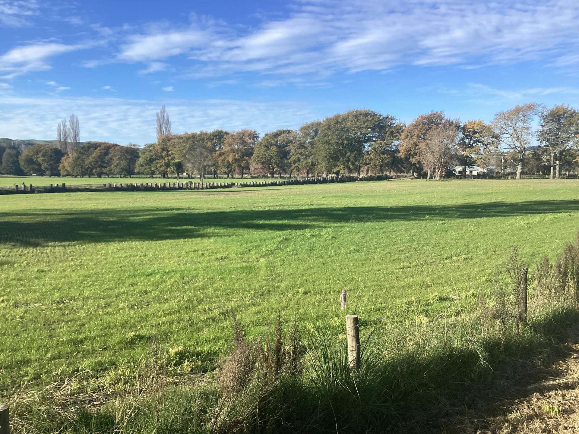 368 Dartmoor Road Puketapu_0