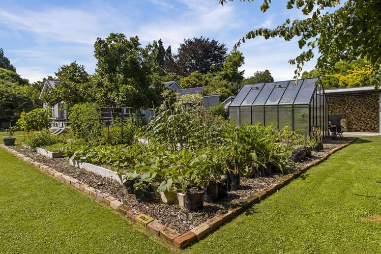 113 Temuka-Orari Highway Winchester_21
