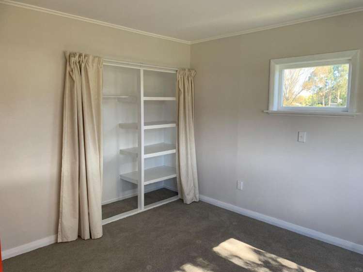  25 Flower Street Bulls_8