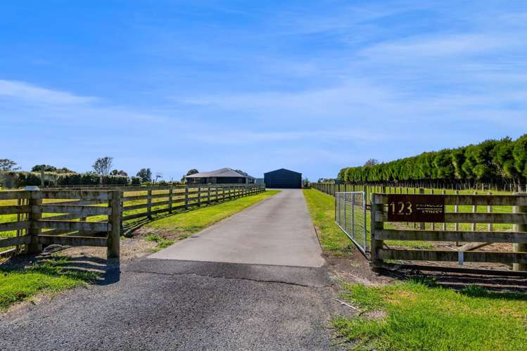 123 Princess Street Waitara_29