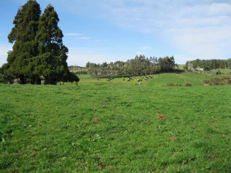 41 Leyland Road Whakamarama_6