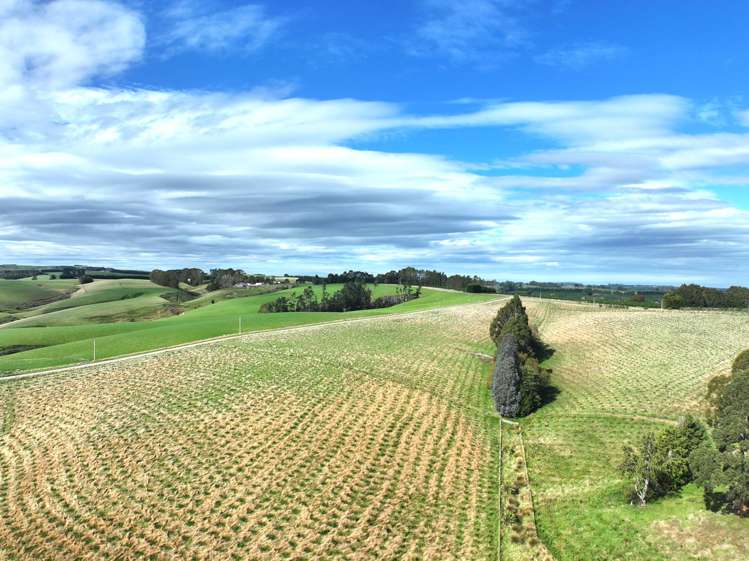 174 McCulloch Road Awamangu_35