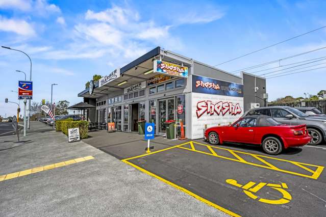 227 Apirana Avenue Glen Innes_3