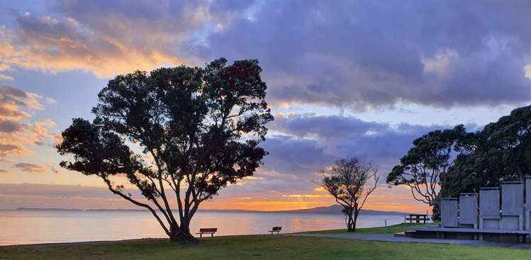 88 Saddleback Rise Murrays Bay_9