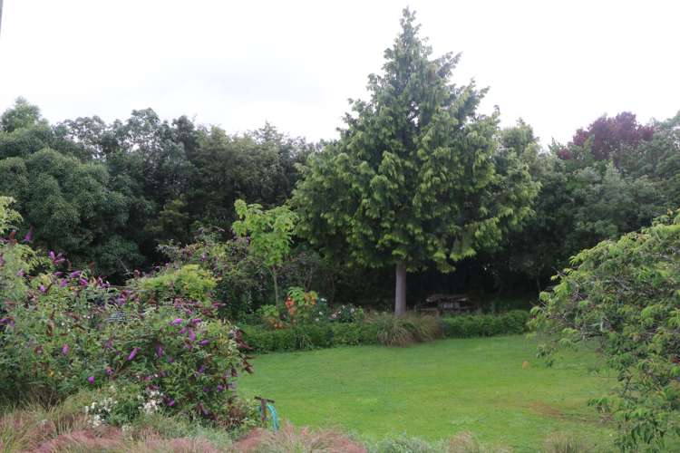 145 Adair Road Adair_24