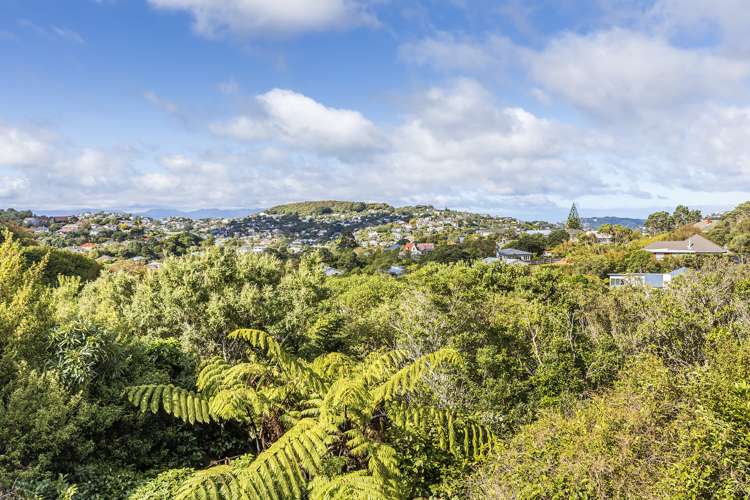 10a Ngarimu Grove Ngaio_8