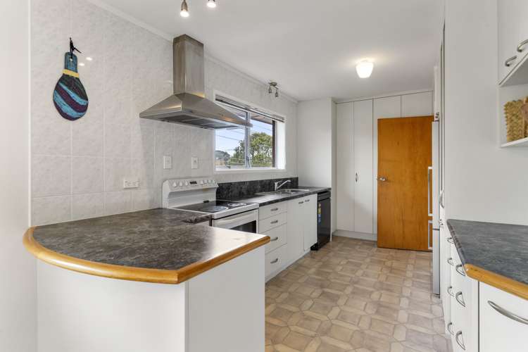 56 Wellpark Avenue Grey Lynn_8