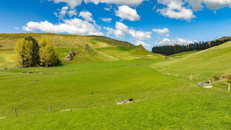 1157 The Peaks Road Hawarden_12