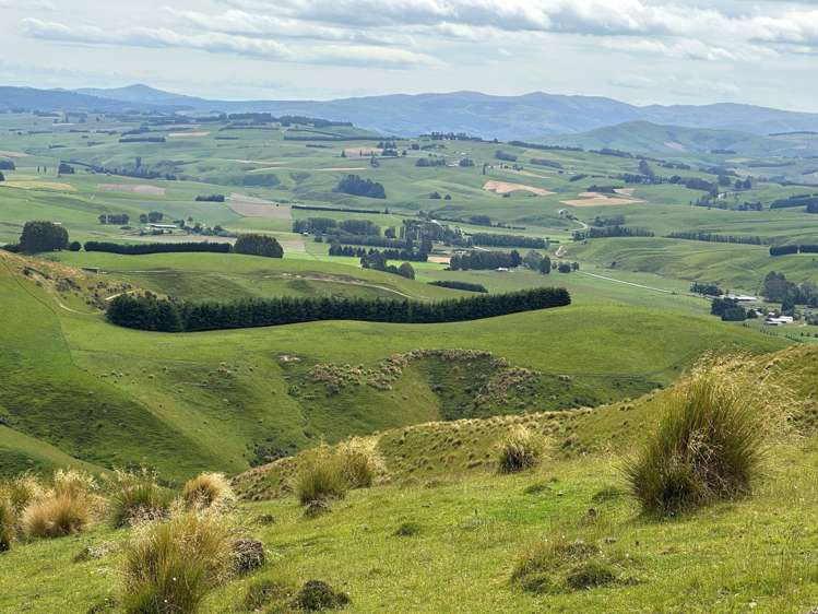 2230 Tapanui Raes Junction Highway Clutha_13