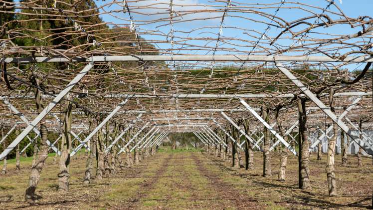 29a Strathmore Drive Aongatete_5